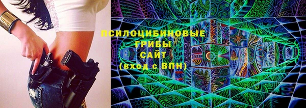 меф Инсар