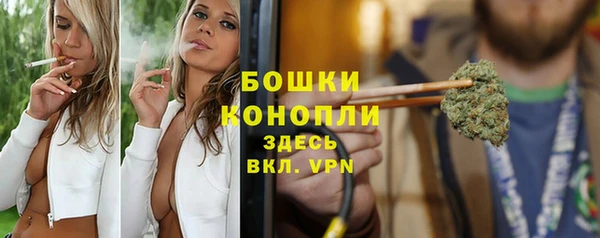 дмт Каменногорск