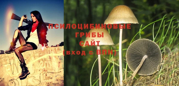 меф Зеленодольск
