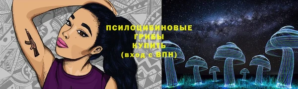 меф Инсар
