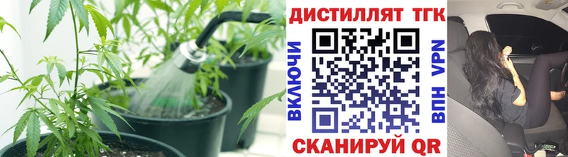 хочу   Куртамыш  Дистиллят ТГК вейп с тгк 