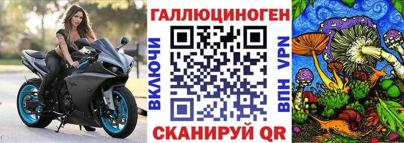 цена   мориарти Telegram  Псилоцибиновые грибы MAGIC MUSHROOMS  Куртамыш 
